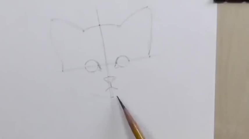 Outline The Cat's Face