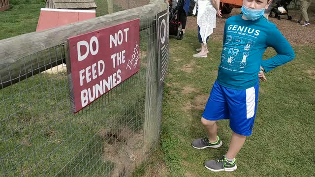 Spencer seeing bunnies at Harbes Farm - VID_20200928_131348