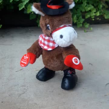 The 2-Step Cowboy Boogie