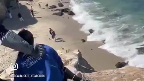 Incompetent Sea World Worker Kills Seal