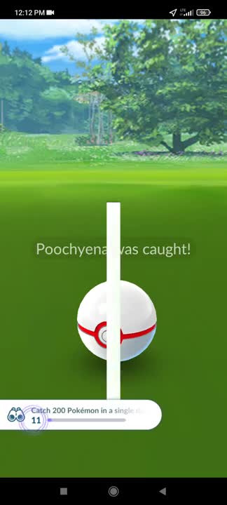 Pokémon GO-Shadow Poochyena