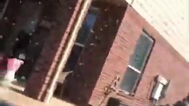 Short hilarious funny video