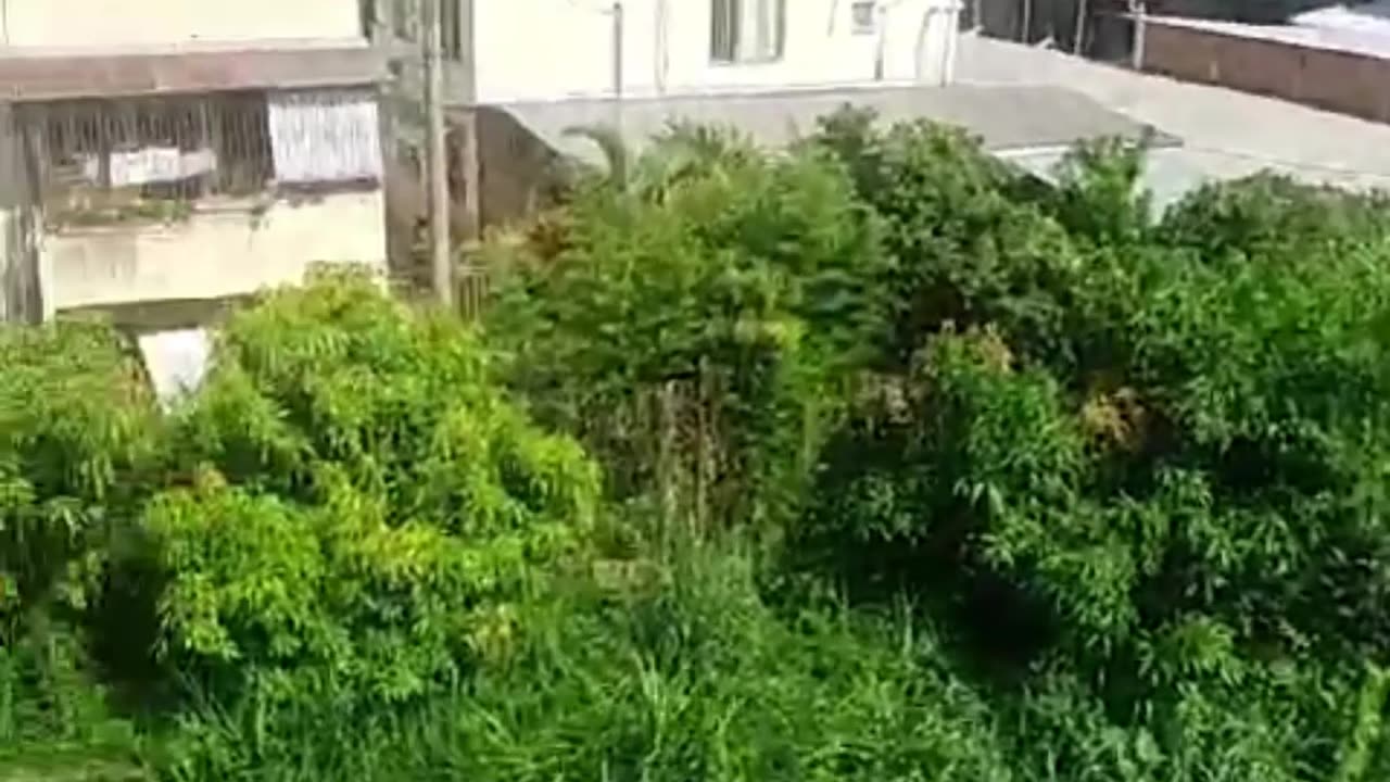 Limpeza do Rio Caratinga no Centro - 1º de dezembro de 2023