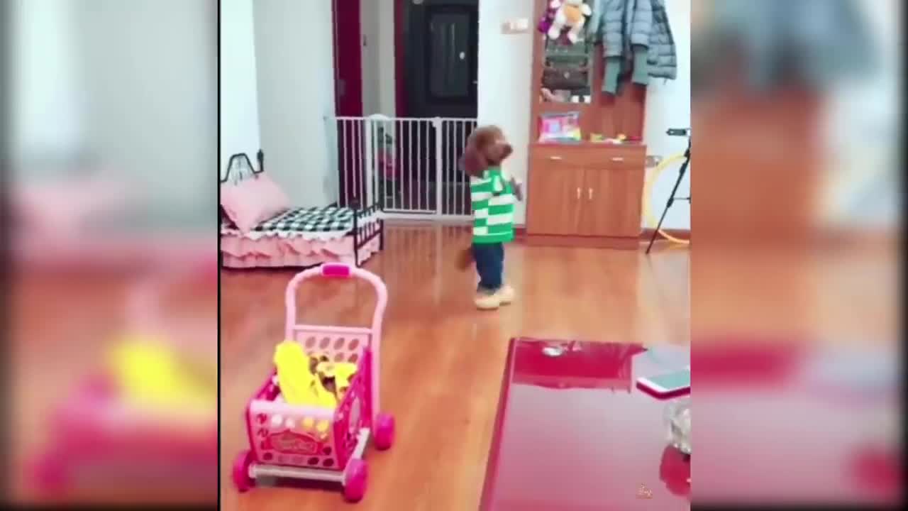 Cute and funny dog video compilation #2