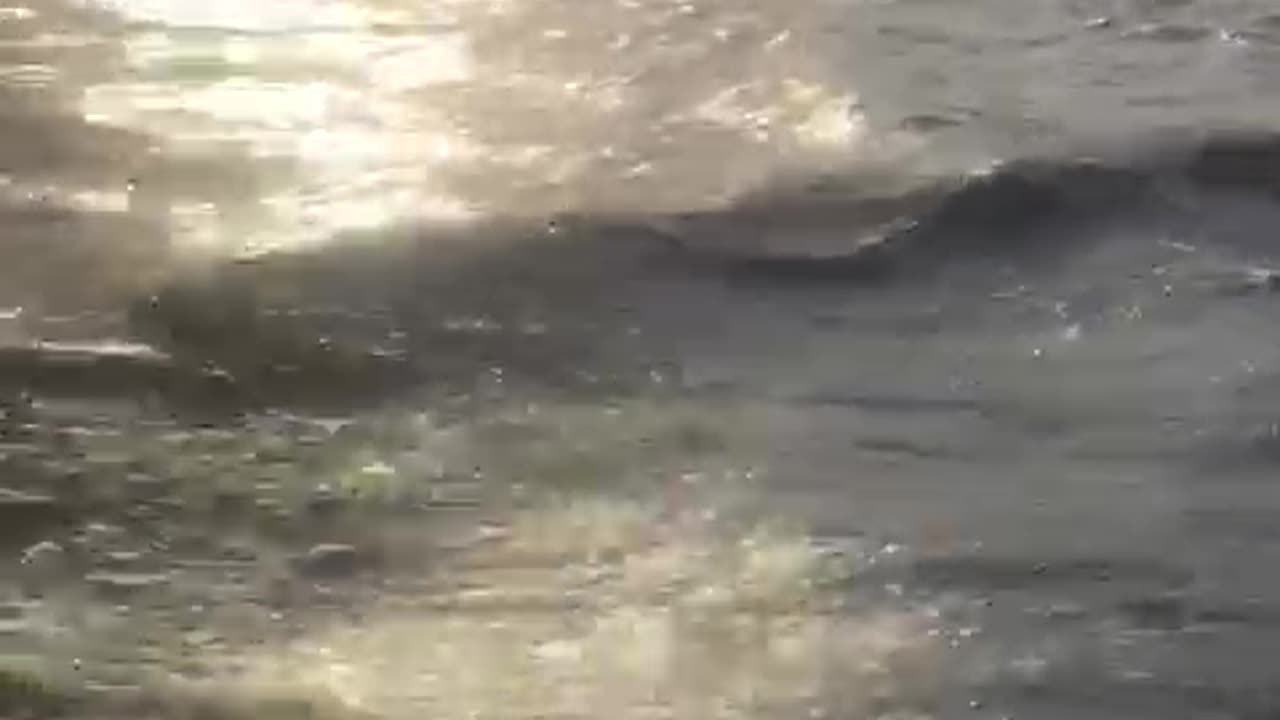 La mer