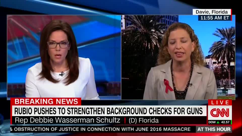 Wasserman-Schultz wants to ban "high capacity, rapid-fire magazines"