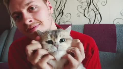 A delightful video, are you happy to see such a cute cat?