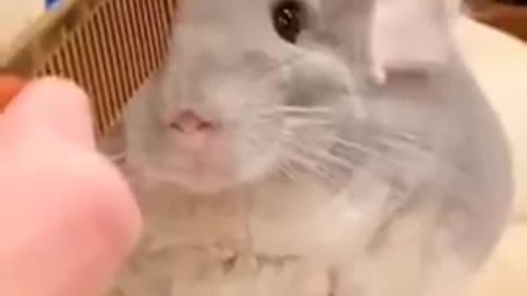 ☺️☺️☺️☺️☺️☺️
