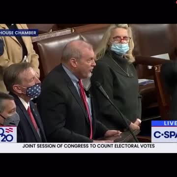 Pence Went Against The Constitution ......