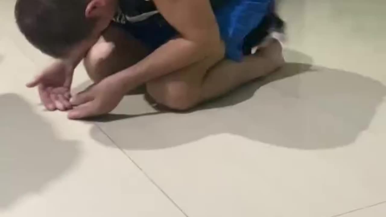 dad play with kitten