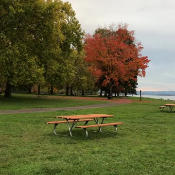 Gorgeous Sunset at Orchard Point Marina