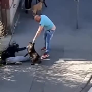 Čovek šutira ženu i njenog psa nasred ulice