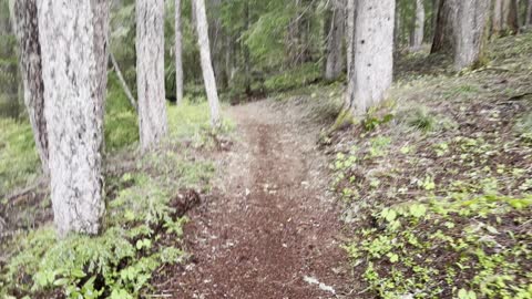 Hiking the North Quadrant of Clear Lake Loop – Willamette National Forest – Central Oregon – 4K