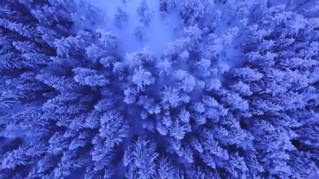 Morning Relaxing Music for Meditation • Deep Sleep Music, Relaxation Music, Piano Music