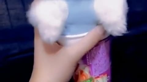 Cute & Funny Puippes very Lovley | Smart Baby Dogs Video