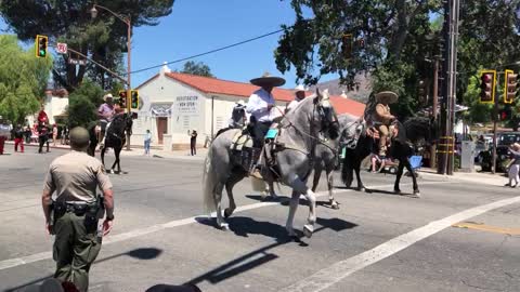 Dancing Horses Charro