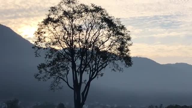 Meditation in the sunset glow