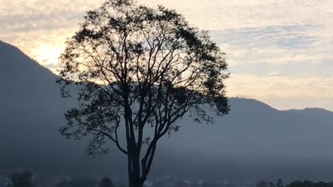 Meditation in the sunset glow