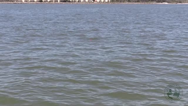 Season 1, Ep. 10: Tripletail | Altamaha River Sportsman