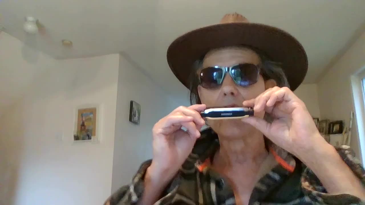 EASY HARMONICA LESSON FOR BEGINNERS BLUES RIFF 1