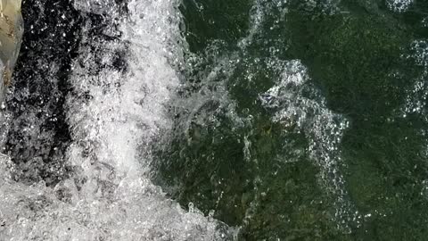 Jarred River driving