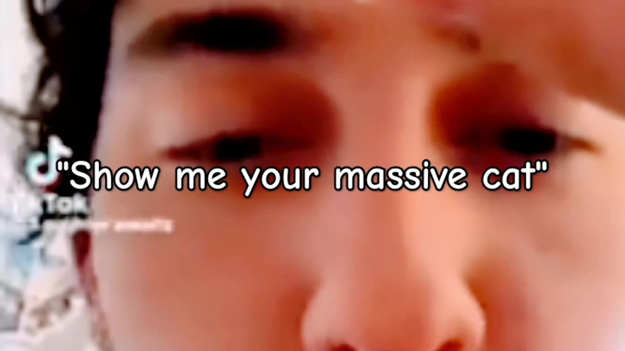 SHE BELONGS TO THE STREETS: "SHOW ME YOUR MASSIVE CAT"