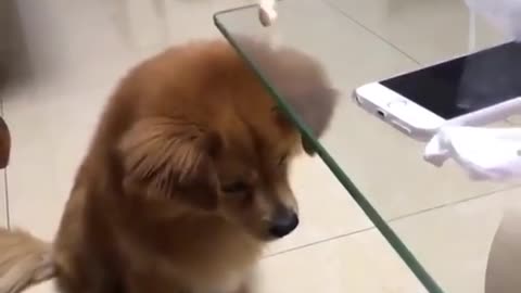 She can't imagine where the food is going