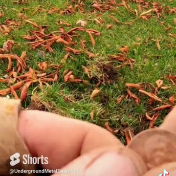 Metal Detecting Rumble Shorts Reels Video Feature 31 of 60 - Full Video on Channel