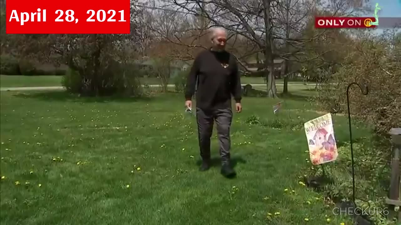 Experts are Baffled