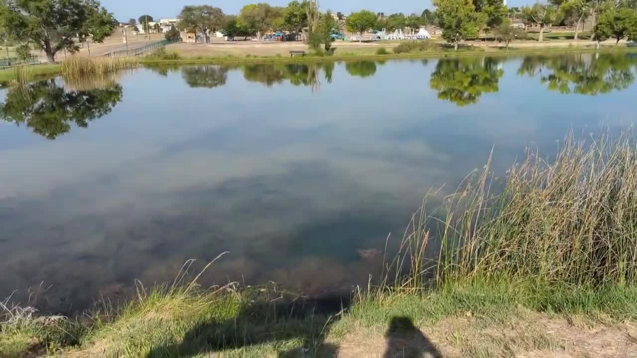 Catch and Cook Fish Fry: The Easiest Way to Dinner!