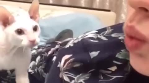 So cute best CAT and DOG funny Video