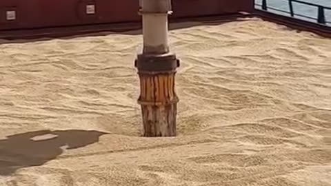 Unloading 🌾 wheat ship 🚢
