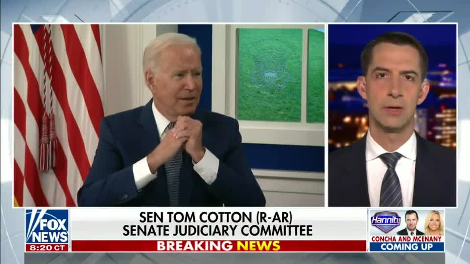 Sen. Cotton says that Biden lied about being advised to pull all troops from Afghanistan