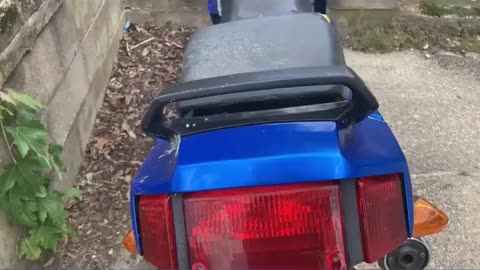 Kawasaki Ninja 250R by Jack the Irish wolfhound