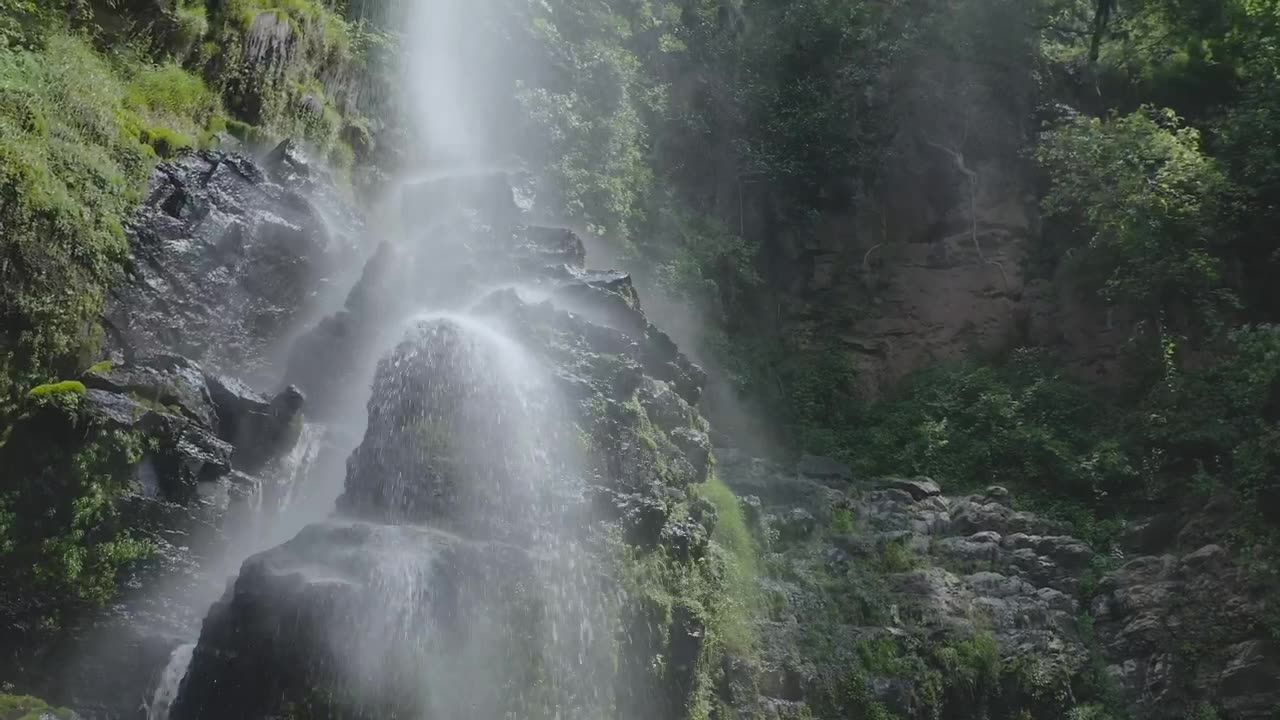 waterfall in forest