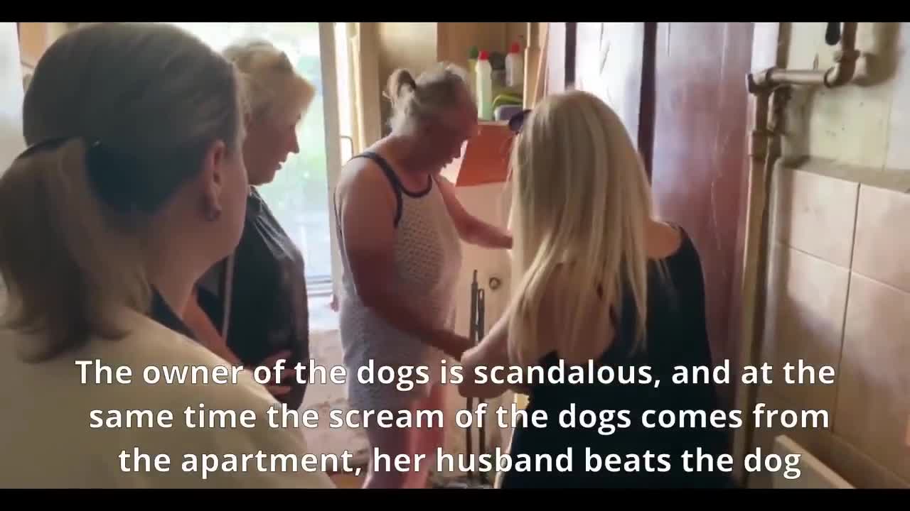 9 Poor Dogs Asked for People to Help Them