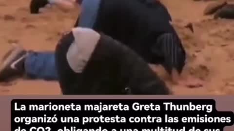 LOS AVESTRUCES DE GRETA TUMBAVERGAS.... 🤦‍♂️🤦‍♂️🤦‍♂️🤦‍♂️🤦‍♂️🤦‍♂️