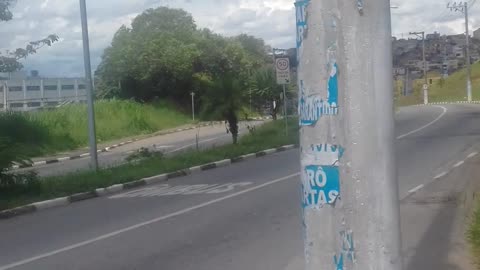 indo no parque passeia