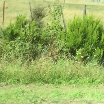 Check Out This "Cheeky" Rider Returning from the Muddy Buddy