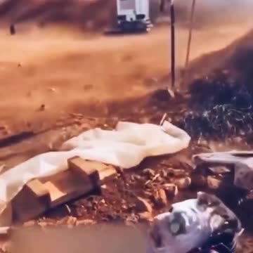 Rothschild’s Israel