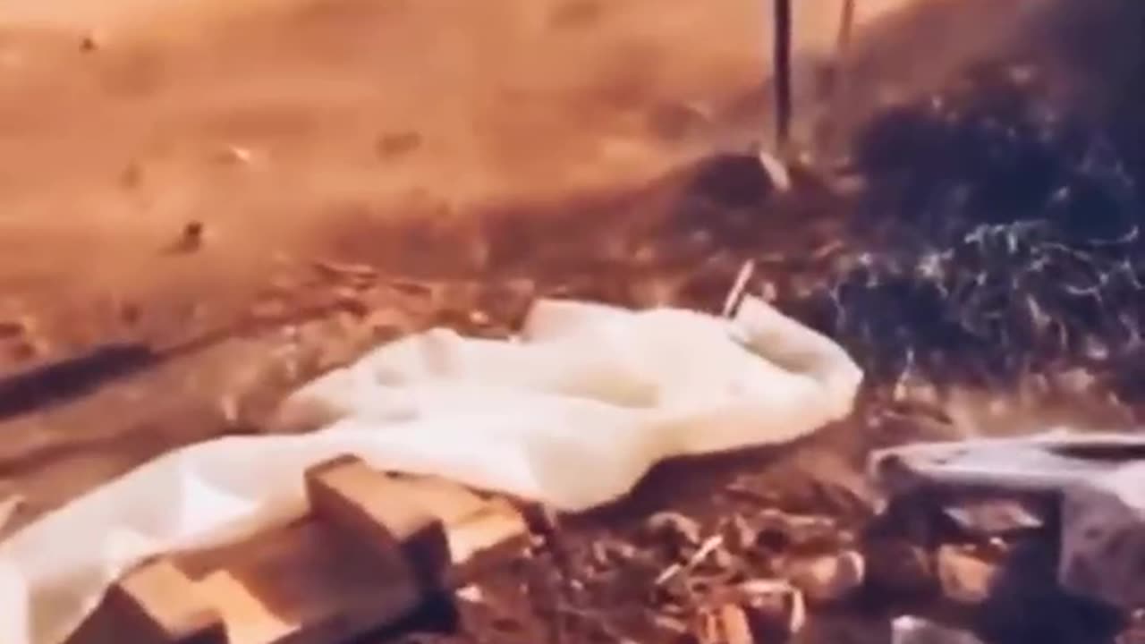 Rothschild’s Israel