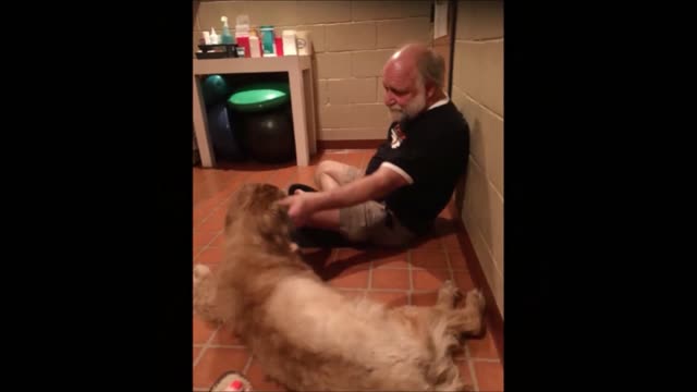 Joanne, A Good Dog