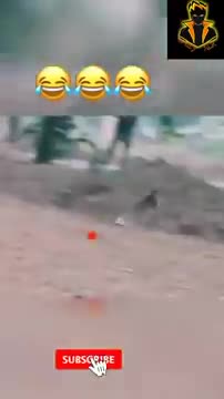 FUNNY_MONKEY} CUTE DOG AND MONKEY LOVLY FUNNY VIDEO !