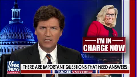 Tucker: Liz Cheney is delusional