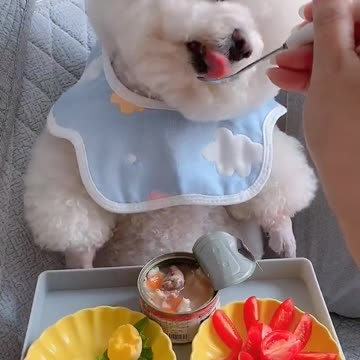 Puppy eating so cute