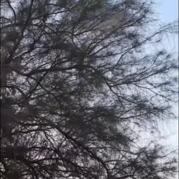 funny|prank|jokes|funny jokes|dad jokes|funny memes|funny video|fun|laughing|funny animal|knock