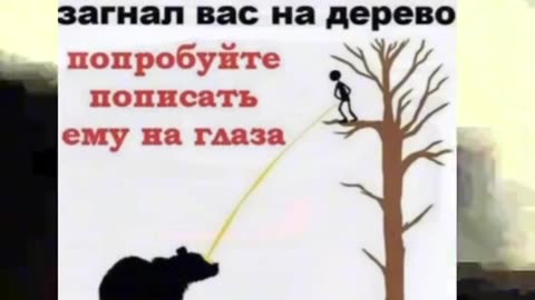 Если медведь загнал вас на дерево! юмор хохма мемы, приколы, прикол, ржака, ржакадослез, смешно