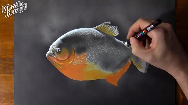 Draw Spots On The Appearance Of Small Fish