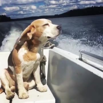 That one time I was looking and feeling . Take me back...