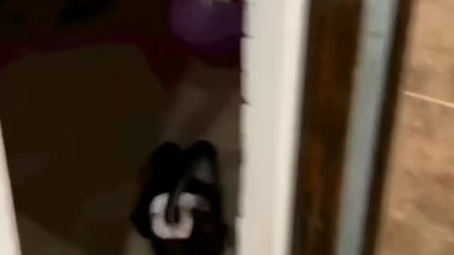 A monkey playing.